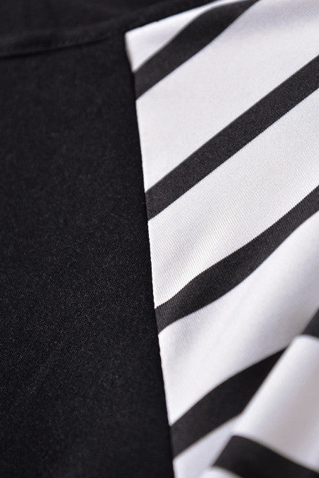Striped Animal Print Color block Long Sleeve